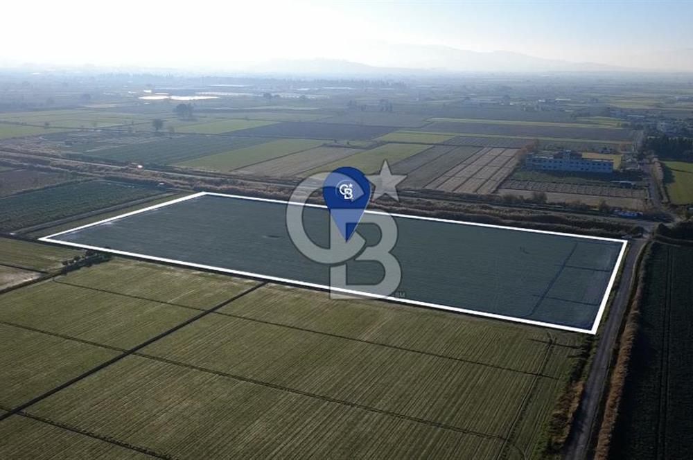 CB ODAK'TAN MENEMEN ÇAVUŞKÖYDE 32.563 m² SATILIK TARLA