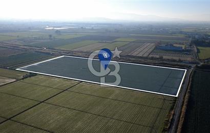 CB ODAK'TAN MENEMEN ÇAVUŞKÖYDE 32.563 m² SATILIK TARLA