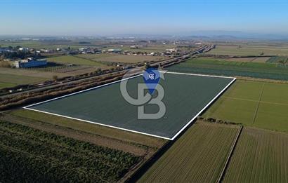 CB ODAK'TAN MENEMEN ÇAVUŞKÖYDE 32.563 m² SATILIK TARLA