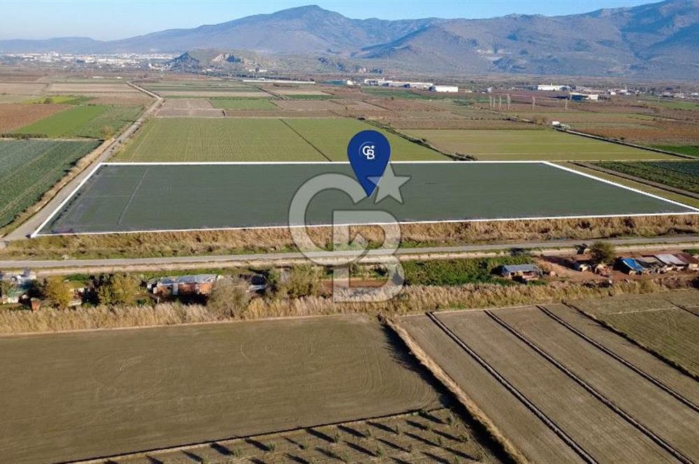 CB ODAK'TAN MENEMEN ÇAVUŞKÖYDE 32.563 m² SATILIK TARLA