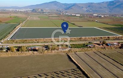 CB ODAK'TAN MENEMEN ÇAVUŞKÖYDE 32.563 m² SATILIK TARLA