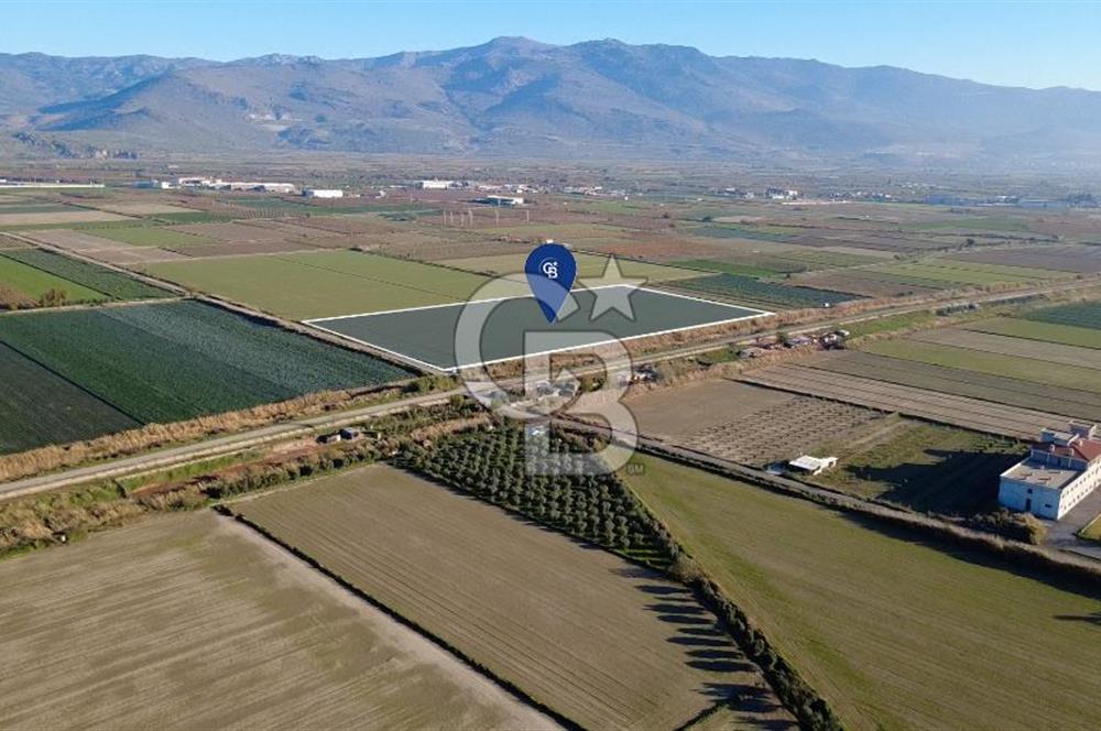 CB ODAK'TAN MENEMEN ÇAVUŞKÖYDE 32.563 m² SATILIK TARLA