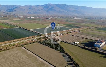 CB ODAK'TAN MENEMEN ÇAVUŞKÖYDE 32.563 m² SATILIK TARLA