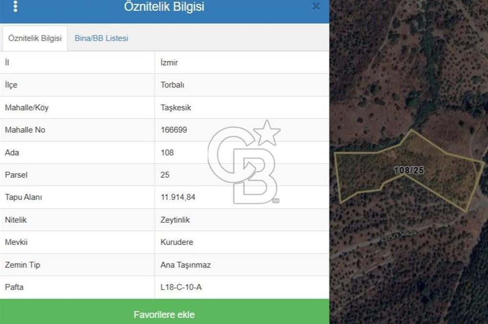 TORBALI TAŞKESİK’TE SATILIK 11915 M2 FIRSAT ZEYTİNLİK