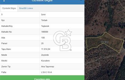 TORBALI TAŞKESİK’TE SATILIK 11915 M2 FIRSAT ZEYTİNLİK