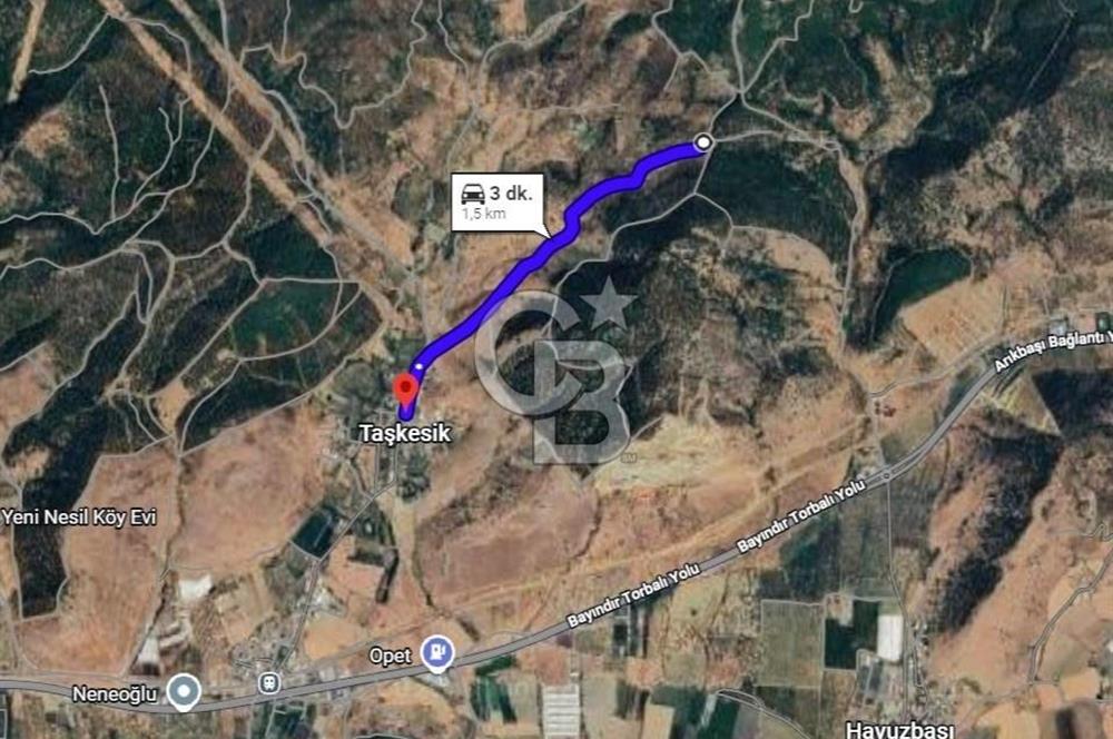 TORBALI TAŞKESİK’TE SATILIK 11915 M2 FIRSAT ZEYTİNLİK