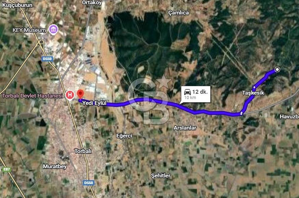 TORBALI TAŞKESİK’TE SATILIK 11915 M2 FIRSAT ZEYTİNLİK