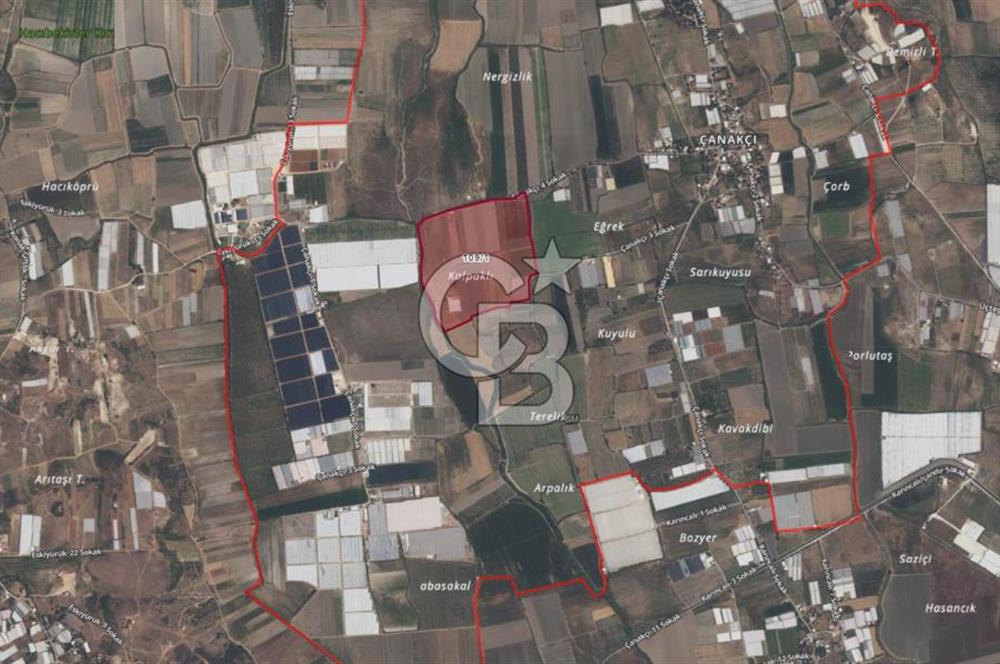 12300 m2 SATILIK TARLA | VERİMLİ NAR BAHÇESİ