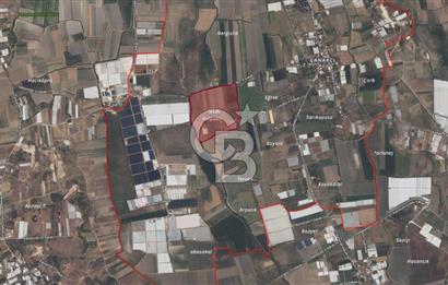 12300 m2 SATILIK TARLA | VERİMLİ NAR BAHÇESİ