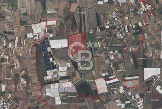 12300 m2 SATILIK TARLA | VERİMLİ NAR BAHÇESİ - 7 - 322646