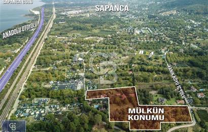 SAPANCA YANIK'TA 19116 M2 ÇİFTLİK EVİ