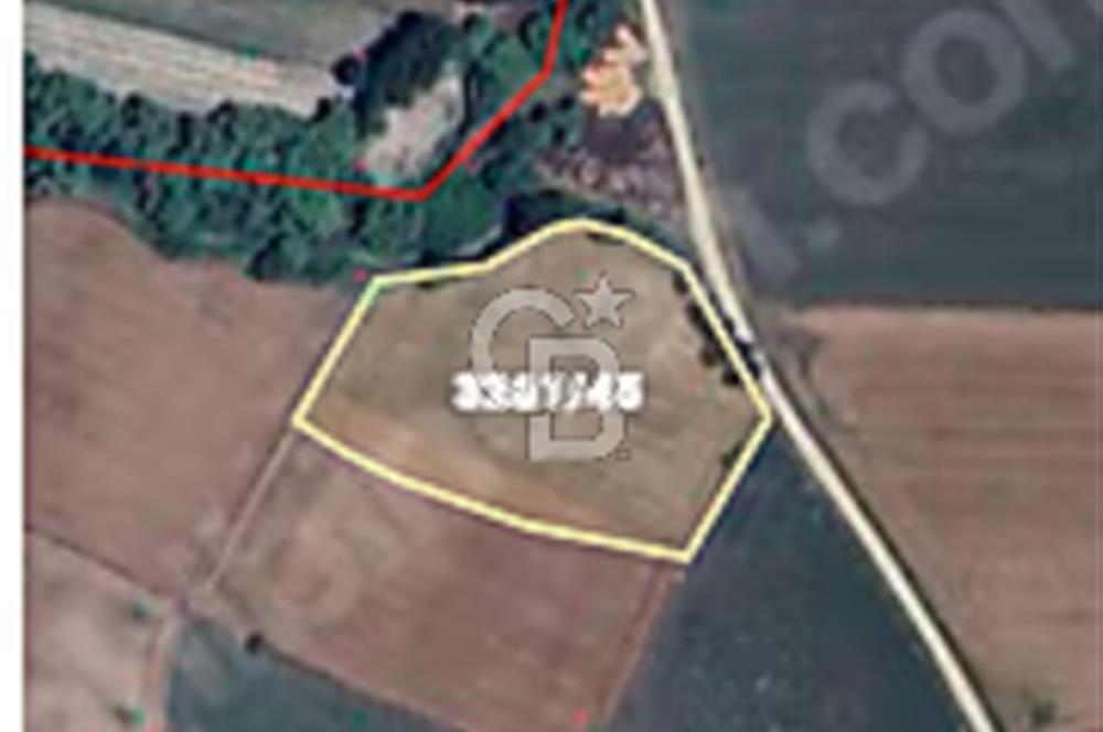 SİLİVRİ FENER MAHALLESİNDE MUSTAKİL TEK TAPU 9804 M2 ARSA