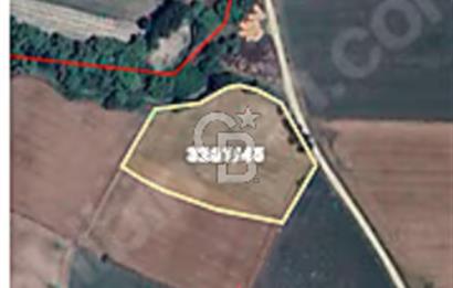 SİLİVRİ FENER MAHALLESİNDE MUSTAKİL TEK TAPU 9804 M2 ARSA