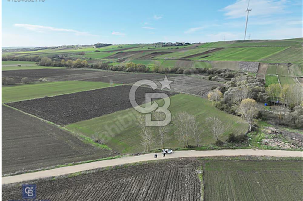 SİLİVRİ FENER MAHALLESİNDE MUSTAKİL TEK TAPU 9804 M2 ARSA