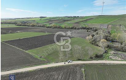 SİLİVRİ FENER MAHALLESİNDE MUSTAKİL TEK TAPU 9804 M2 ARSA