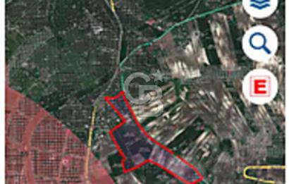 Emsalsiz zirve konumlu