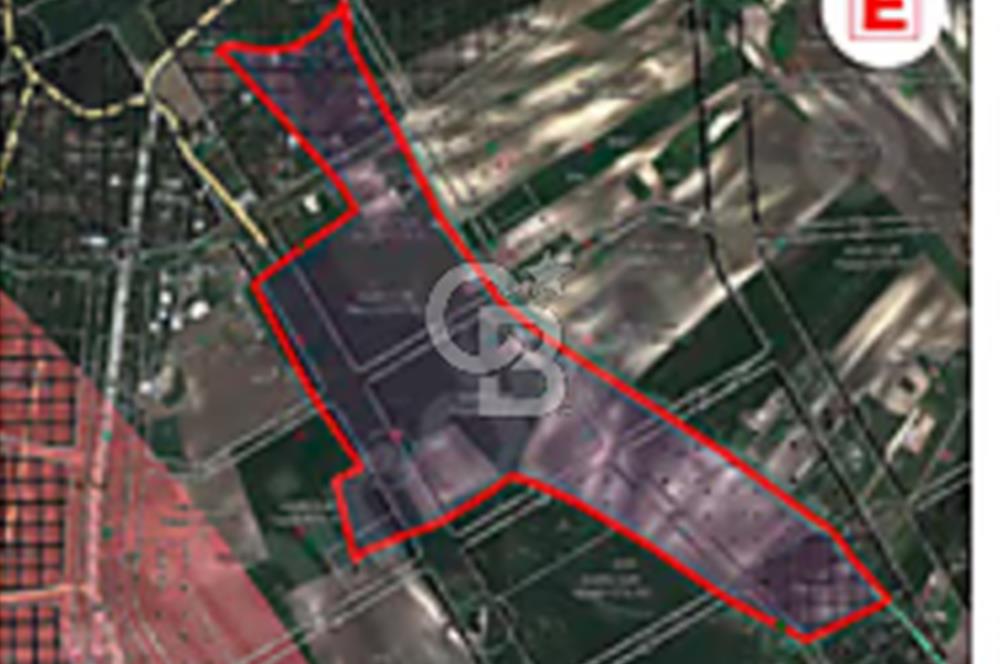 Emsalsiz zirve konumlu