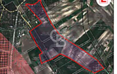 Emsalsiz zirve konumlu