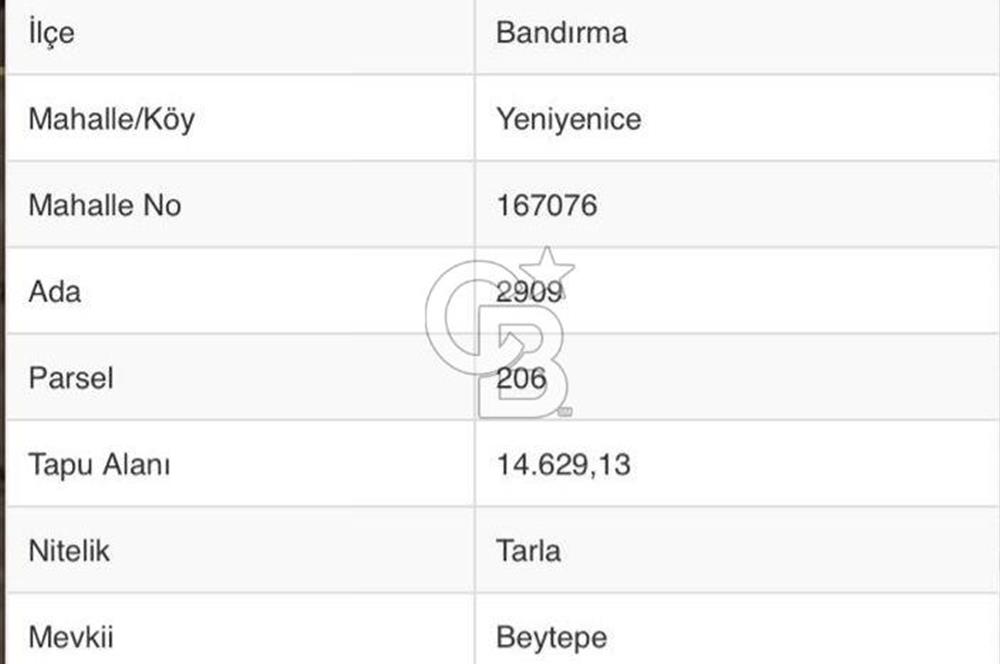 BANDIRMA YENİYENİCE'DE SATILIK 400 AĞAÇLIK CEVİZ BAHÇESİ