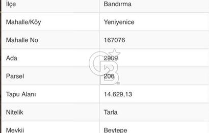 BANDIRMA YENİYENİCE'DE SATILIK 400 AĞAÇLIK CEVİZ BAHÇESİ