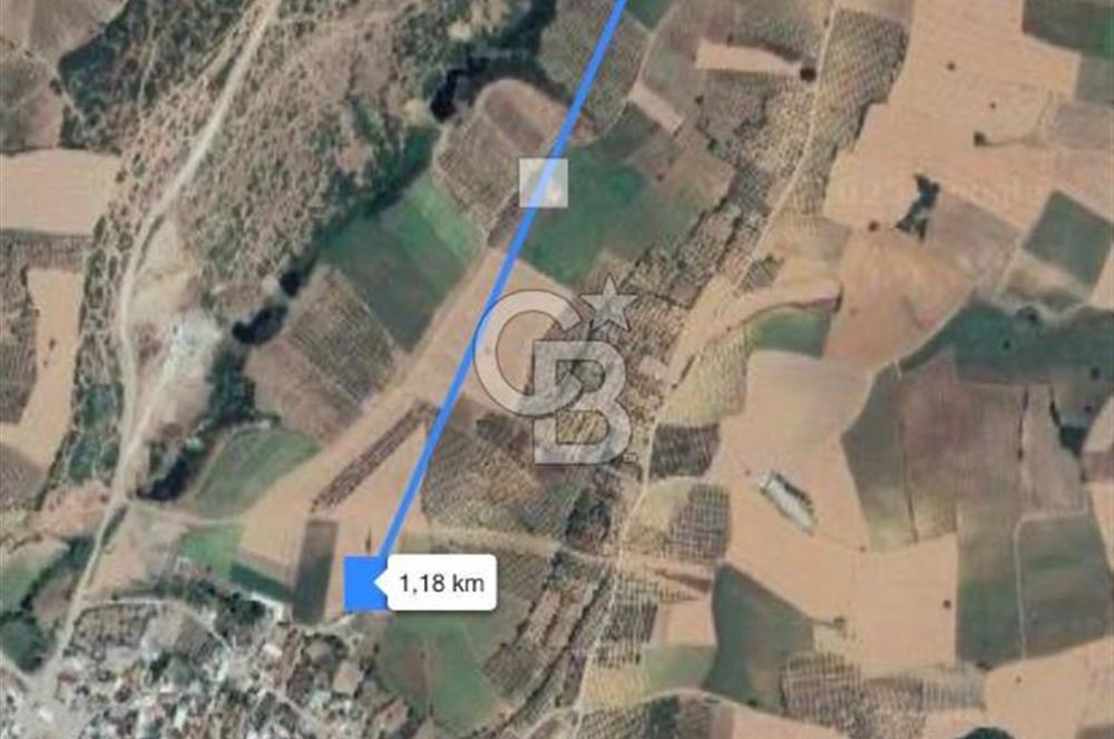 BANDIRMA YENİYENİCE'DE SATILIK 400 AĞAÇLIK CEVİZ BAHÇESİ