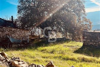 Karaburun Kösedere'de 2290 m² Doğa Manzaralı Düz Zemin Tarla - 7 - 322951