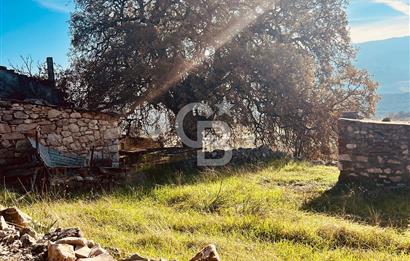 Karaburun Kösedere'de 2290 m² Doğa Manzaralı Düz Zemin Tarla