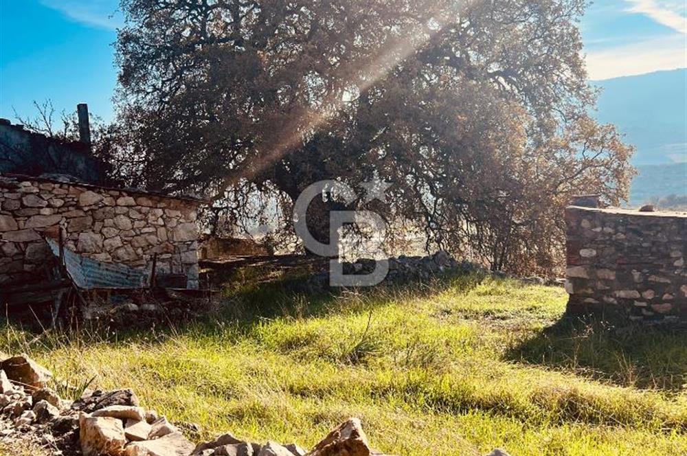 Karaburun Kösedere'de 2290 m² Doğa Manzaralı Düz Zemin Tarla