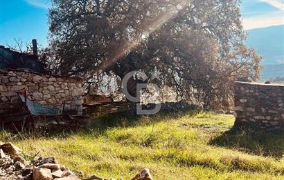 Karaburun Kösedere'de 2290 m² Doğa Manzaralı Düz Zemin Tarla