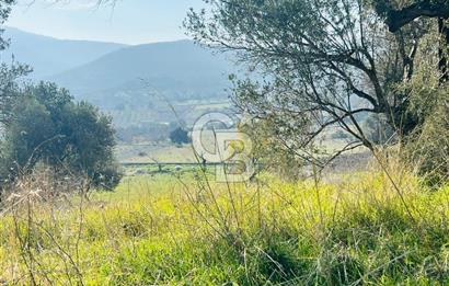 Karaburun Kösedere'de 2290 m² Doğa Manzaralı Düz Zemin Tarla