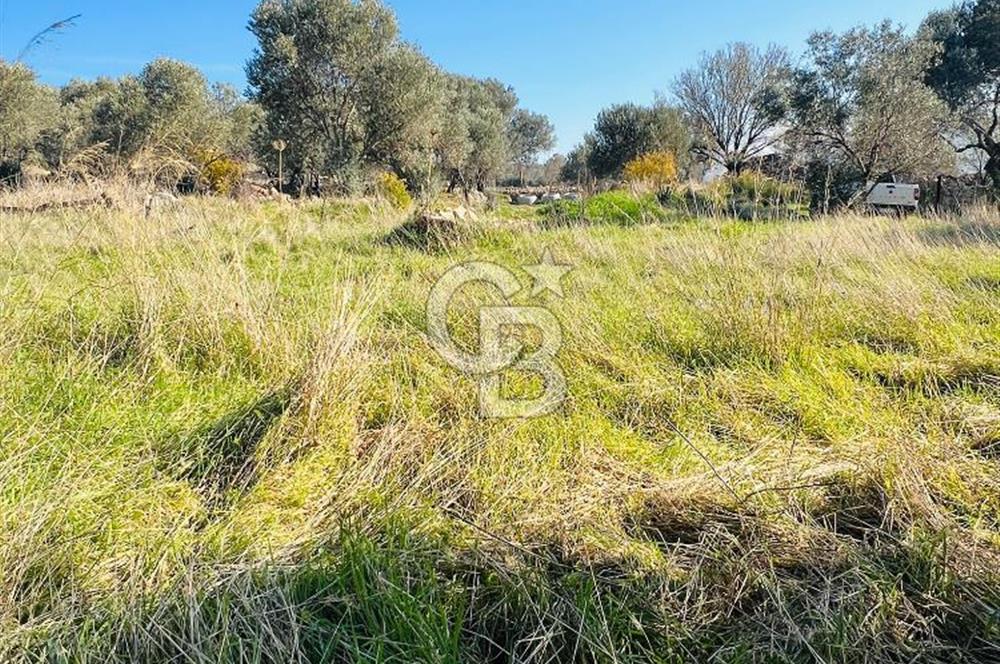 Karaburun Kösedere'de 2290 m² Doğa Manzaralı Düz Zemin Tarla