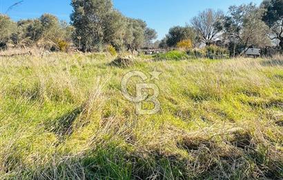 Karaburun Kösedere'de 2290 m² Doğa Manzaralı Düz Zemin Tarla