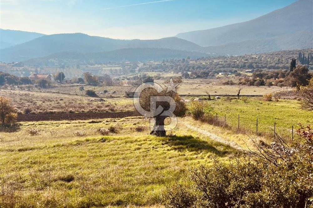 Karaburun Kösedere'de 2290 m² Doğa Manzaralı Düz Zemin Tarla