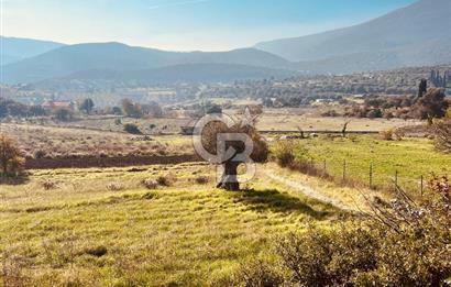 Karaburun Kösedere'de 2290 m² Doğa Manzaralı Düz Zemin Tarla
