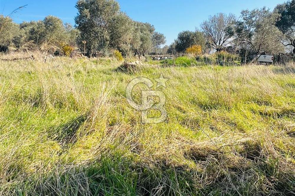 Karaburun Kösedere'de 2290 m² Doğa Manzaralı Düz Zemin Tarla