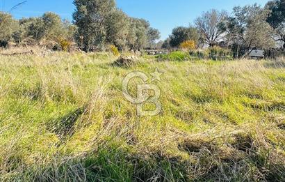 Karaburun Kösedere'de 2290 m² Doğa Manzaralı Düz Zemin Tarla