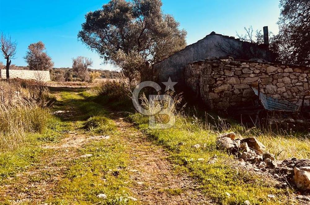 Karaburun Kösedere'de 2290 m² Doğa Manzaralı Düz Zemin Tarla