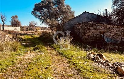 Karaburun Kösedere'de 2290 m² Doğa Manzaralı Düz Zemin Tarla