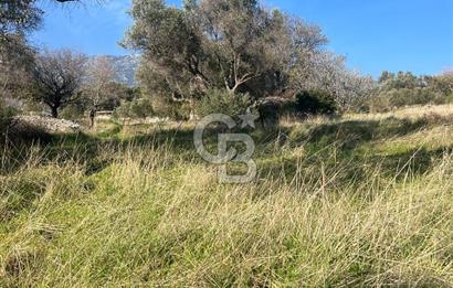 Karaburun Kösedere'de 2290 m² Doğa Manzaralı Düz Zemin Tarla