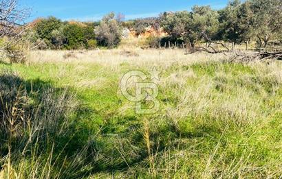 Karaburun Kösedere'de 2290 m² Doğa Manzaralı Düz Zemin Tarla