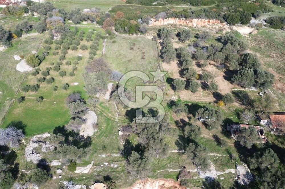 Karaburun Kösedere'de 2290 m² Doğa Manzaralı Düz Zemin Tarla
