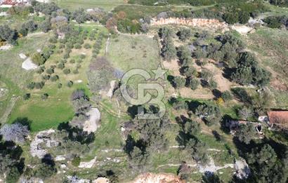 Karaburun Kösedere'de 2290 m² Doğa Manzaralı Düz Zemin Tarla