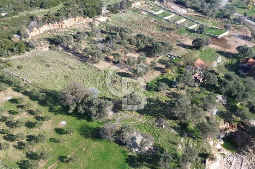 Karaburun Kösedere'de 2290 m² Doğa Manzaralı Düz Zemin Tarla