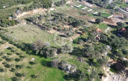 Karaburun Kösedere'de 2290 m² Doğa Manzaralı Düz Zemin Tarla