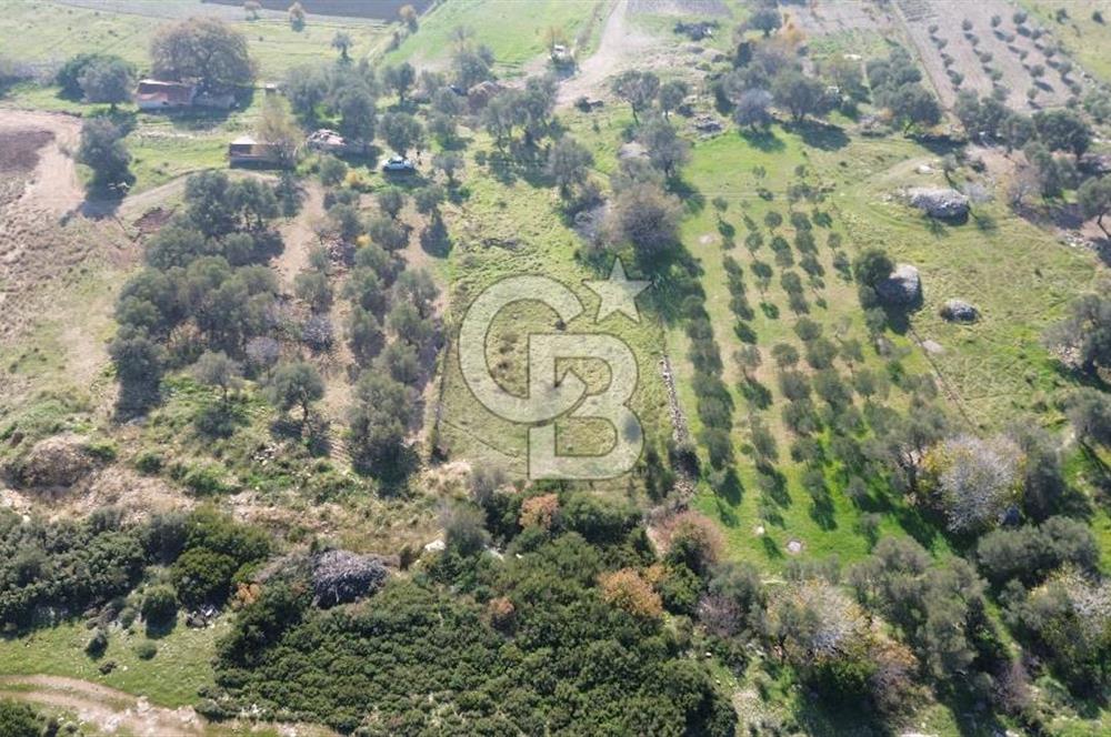 Karaburun Kösedere'de 2290 m² Doğa Manzaralı Düz Zemin Tarla