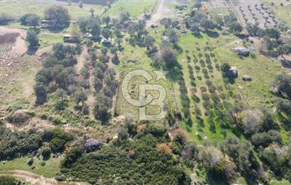 Karaburun Kösedere'de 2290 m² Doğa Manzaralı Düz Zemin Tarla