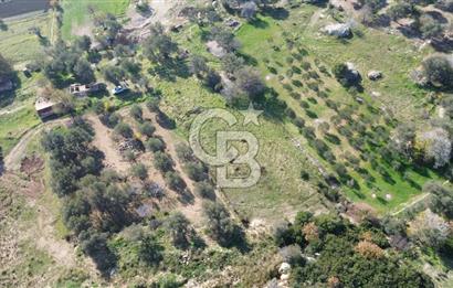 Karaburun Kösedere'de 2290 m² Doğa Manzaralı Düz Zemin Tarla