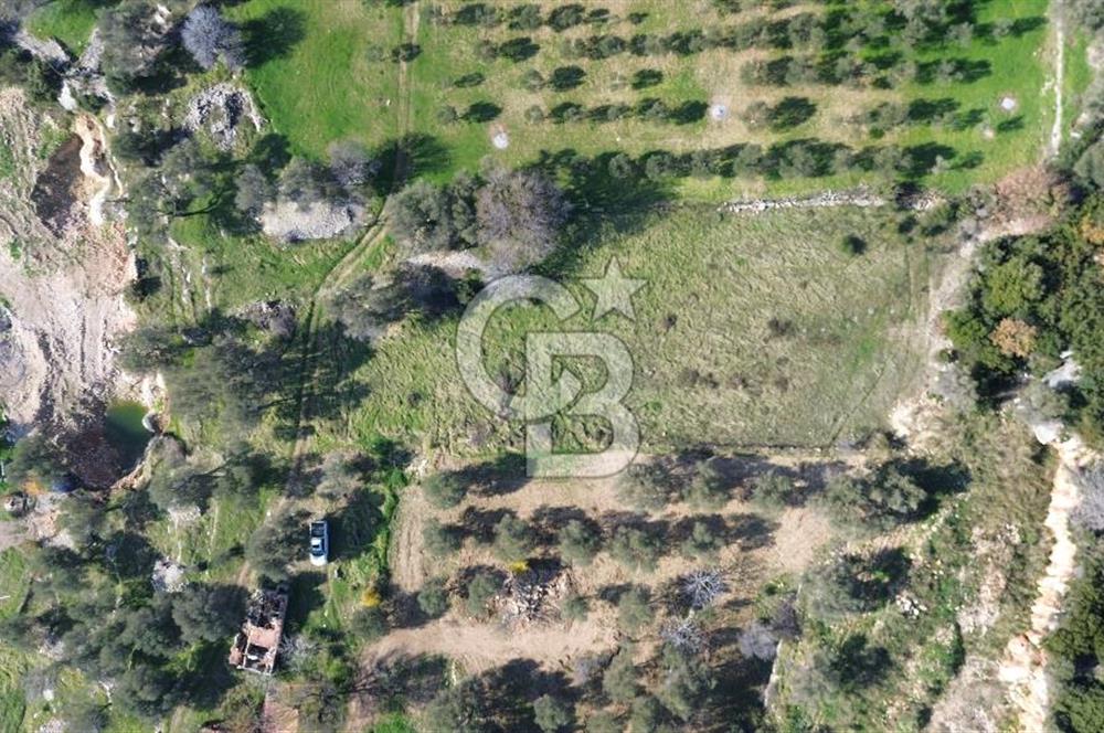 Karaburun Kösedere'de 2290 m² Doğa Manzaralı Düz Zemin Tarla