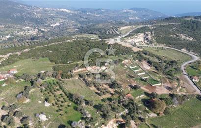 Karaburun Kösedere'de 2290 m² Doğa Manzaralı Düz Zemin Tarla
