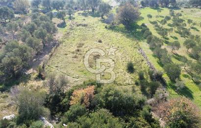 Karaburun Kösedere'de 2290 m² Doğa Manzaralı Düz Zemin Tarla